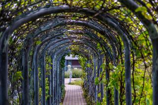 Ogród na dachu BUW w Warszawie