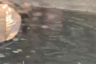 Nawałnice w Trójmieście