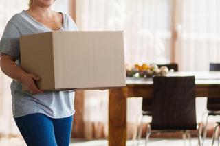 	Przyjaciółki 20 odc. 237. Anka (Magdalena Stużyńska)