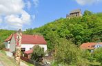 Zamek Świny