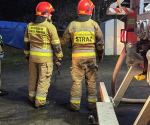 Ogień zmienił schronisko w zgliszcza! Straty są ogromne. „Jesteśmy zdruzgotani”