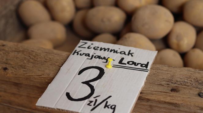 Ziemniaki po 2 zł za 1 kg? Sprawdziliśmy, jakie są ceny na lubelskim targowisku