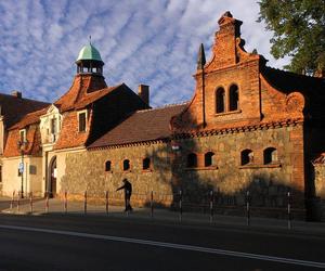 Zamek w Niemodlinie - zdjęcia. Zobacz zamek, który odwiedza stado danieli