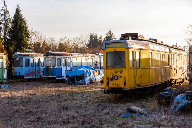 Zobacz kolekcję starych tramwajów w prywatnym ogrodzie - zdjęcia. Wagony stoją na działce w Warszawie