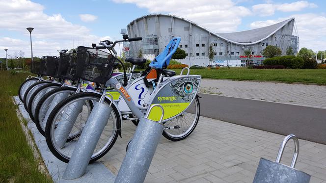 Płock ma szansę zostać stolicą Polski.... rowerową Stolica Polski!