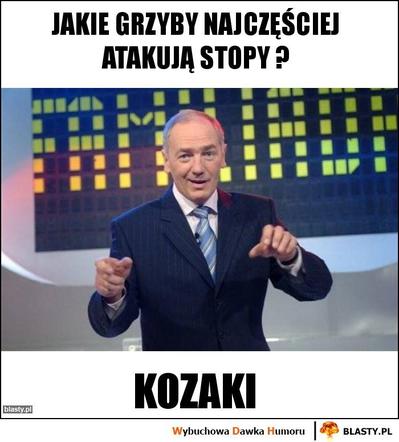 Trwa sezon na grzyby! Oto najlepsze memy o grzybiarzach!