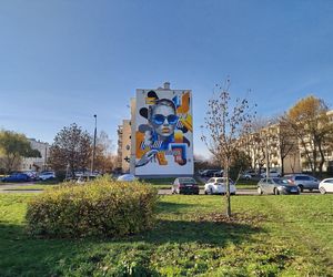 Nowy mural z kobiecą postacią na ścianie bloku przy ulicy Kaszubskiej 2 w Siedlcach. Zobacz zdjęcia!