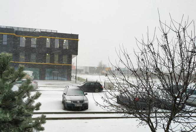 Śnieżyca we Wrocławiu i okolicach. Fatalne warunki na drogach 