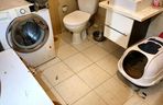 3 lata więzienia grożą mężczyźnie, który usłyszał zarzut znęcania się nad zwierzętami