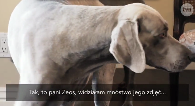 Żony Hollywood. Kinga Korta