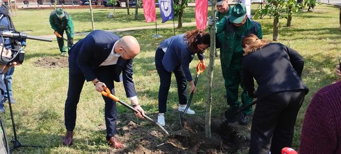 Obietnica frekwencyjna dotrzymana! Prezydentki Gdańska i Gdyni zasadziły drzewo