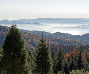 To miejsce w Małopolsce najpiękniej wygląda późną jesienią według AI. Ma status kultowego