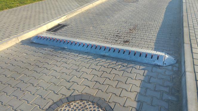 Kolczatka przy Burger Kingu