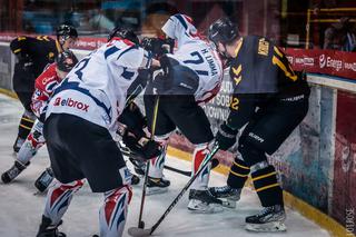 KH Energa Toruń - GKS Katowice 3:6, zdjęcia z meczu