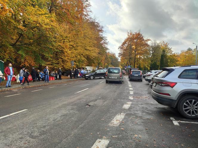 Wszystkich Świętych w Trójmieście. Zmiany w komunikacji