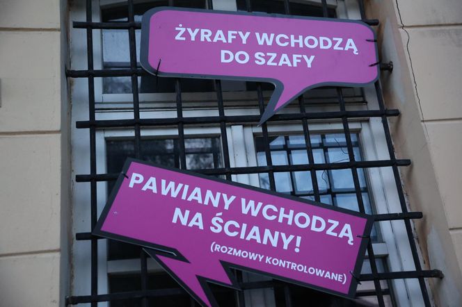 Tak było podczas lubelskiej Nocy Kultury 2025