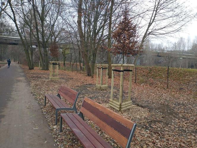 Zakończył się tegoroczny etap rewaloryzacji parku im. A. Wodziczki