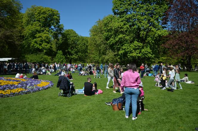 Piknik Europejski w Łazienkach Królewskich (1 maja)