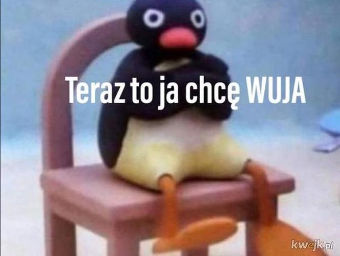 Paulo Sousa memy 