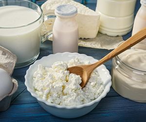 Fermentacja mlekowa i produkty fermentowane