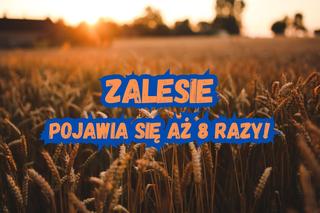 Zalesie