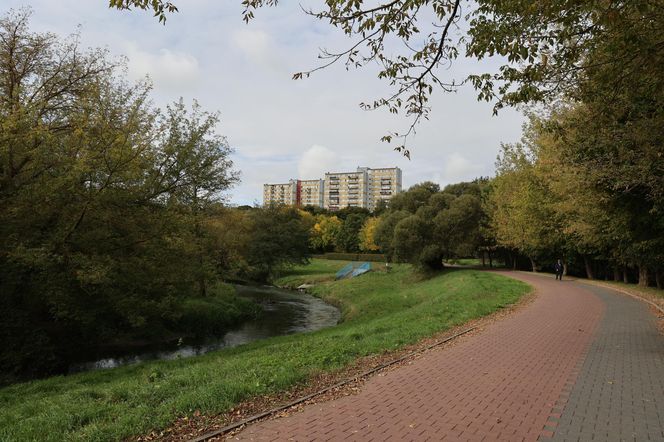 Jesienna odsłona terenów nad Bystrzycą w Lublinie. Tak się prezentuje w październiku