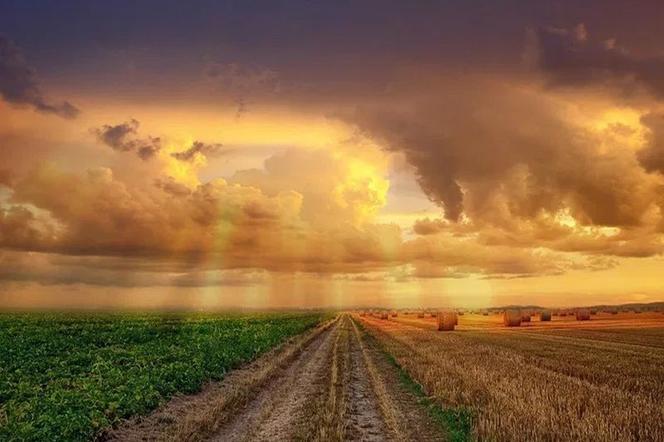 Dotacje dla samorządów na stacje meteo
