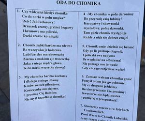 Protest w obronie Górek Czechowskich przed ratuszem