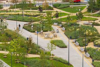 1000 drzew, 100 tysięcy krzewów i ogród zmysłów