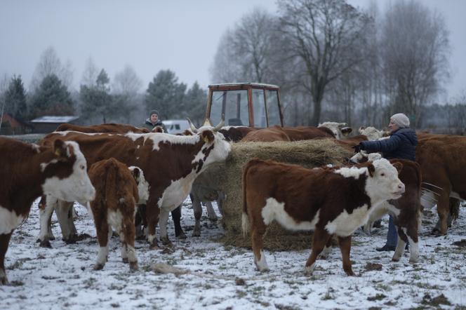 Rolnicy. Podlasie. Emilia Korolczuk i jej Ranczo Laszki