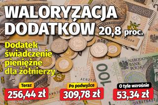 waloryzacja dodatków 20,8 proc