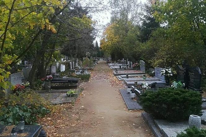 Alejka cmentarna na Junikowie