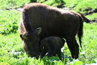 Tę atrakcję turystyczną otwarto 13 lat temu. Dziś przyciąga tłumy turystów