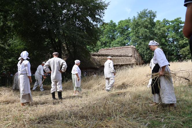 Tak wyglądało kiedyś żniwowanie na polskiej wsi