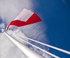 Ruszają szkolenia obronne dla Polaków. Odbędą się w wielu miastach w kraju