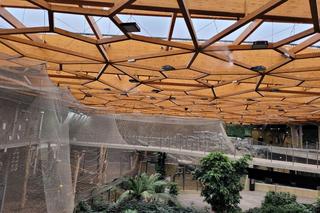 Jak zbudowano łódzkie Orientarium