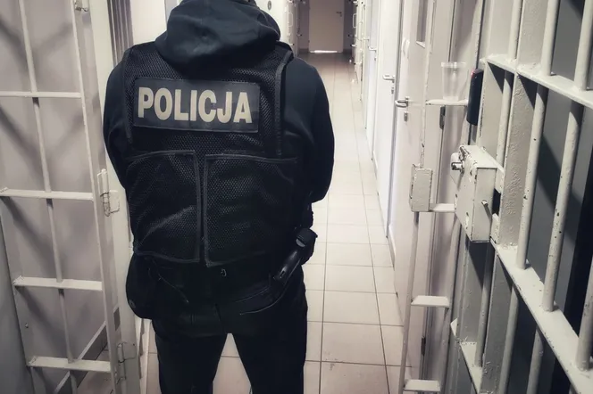 Zniszczył ogrodzenie, pobił i uszkodził telefon. Rozróba pod Łomżą!