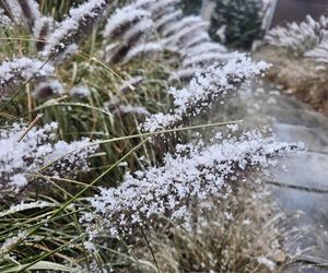 Pierwszy śnieg na Podkarpaciu