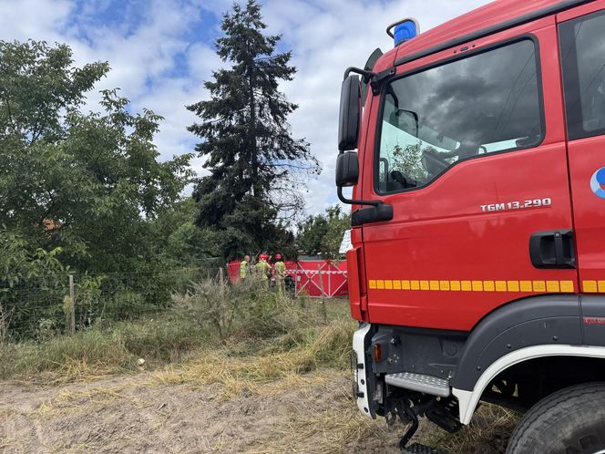 Wypadek awionetki w Krzycku Wielkim