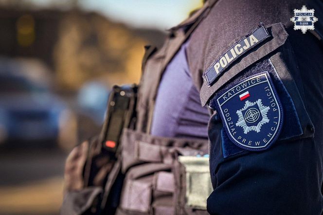 Potężne uderzenie w mafię śmieciową na Śląsku. Zamiast utylizować, zakopywali tony śmieci w Piekarach Śląskich