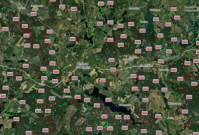 Mapa wycinki lasów 2025 - woj. zachodniopomorskie