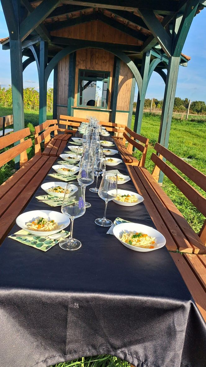 W Chopinowskiej scenografii odbywają się spotkania, degustacje, tematyczne imprezy. Winnica położona jest na wzniesieniu, z którego roztacza się malowniczy widok na Żagań.