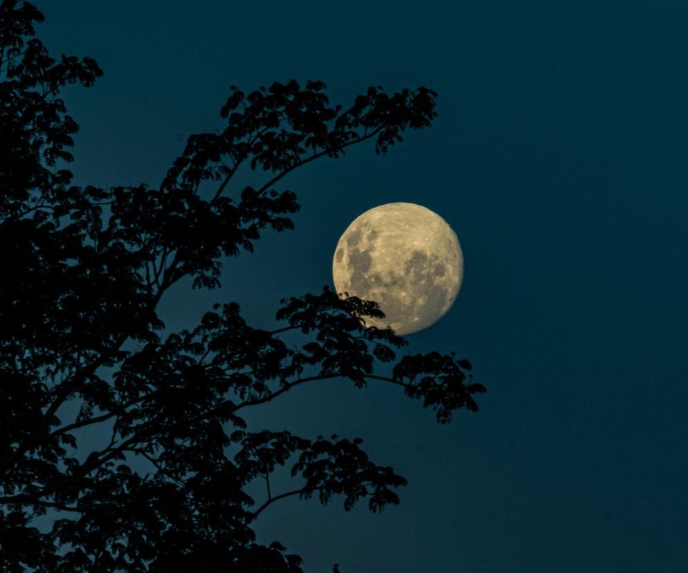 Pełnia Księżyca we wrześniu 2023 wpłynie na nas wszystkich. To będzie wyjątkowy czas!