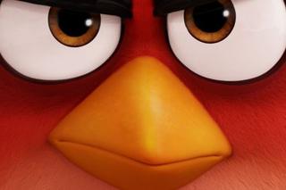 Pluszaki za naklejki w marketach! Gdzie zdobyć Angry Birds? 