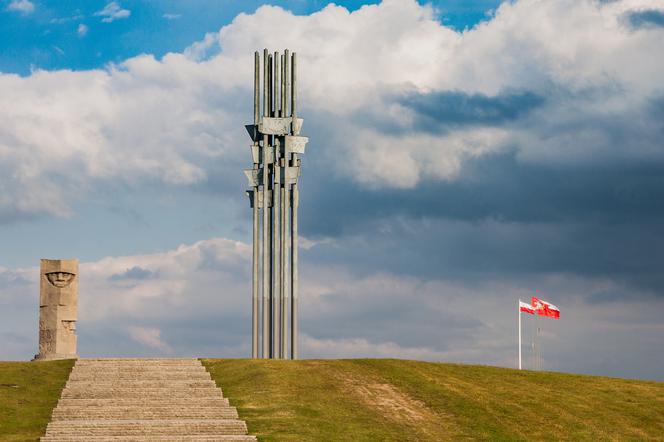 Trwają poszukiwania archeologiczne pod Grunwaldem