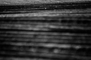 Ponidzie w obiektywie. Zobacz piękne fotografie!