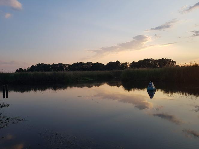 Narwiański Park Narodowy