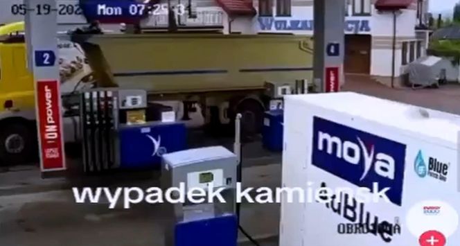 Pas od tira uderzył kobietę prosto w głowę. Wszystko widać na nagraniu
