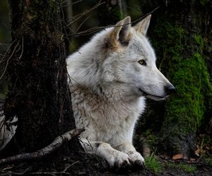 Wystąpi Micromusic, a do tego dzika przyroda, będzie bardziej dostępna. Festiwal Przyrody już w tym tygodniu
