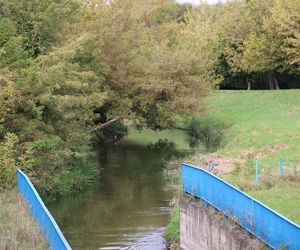 Jesienna odsłona terenów nad Bystrzycą w Lublinie. Tak się prezentuje w październiku